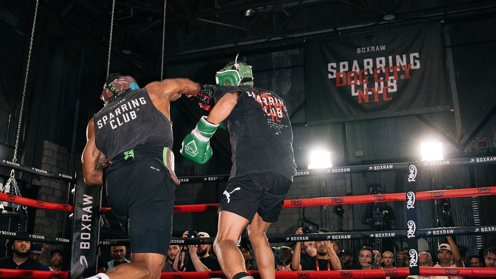 Sparring Club, Dog City NYC: Fighters’ Perspective
