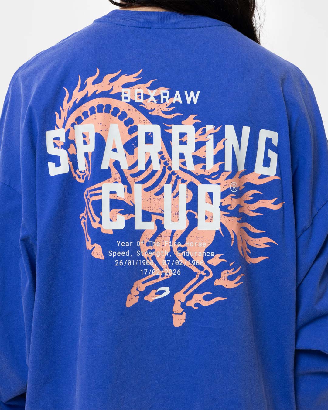 Sparring Club Fire Horse Long Sleeve T-Shirt - Washed Blue