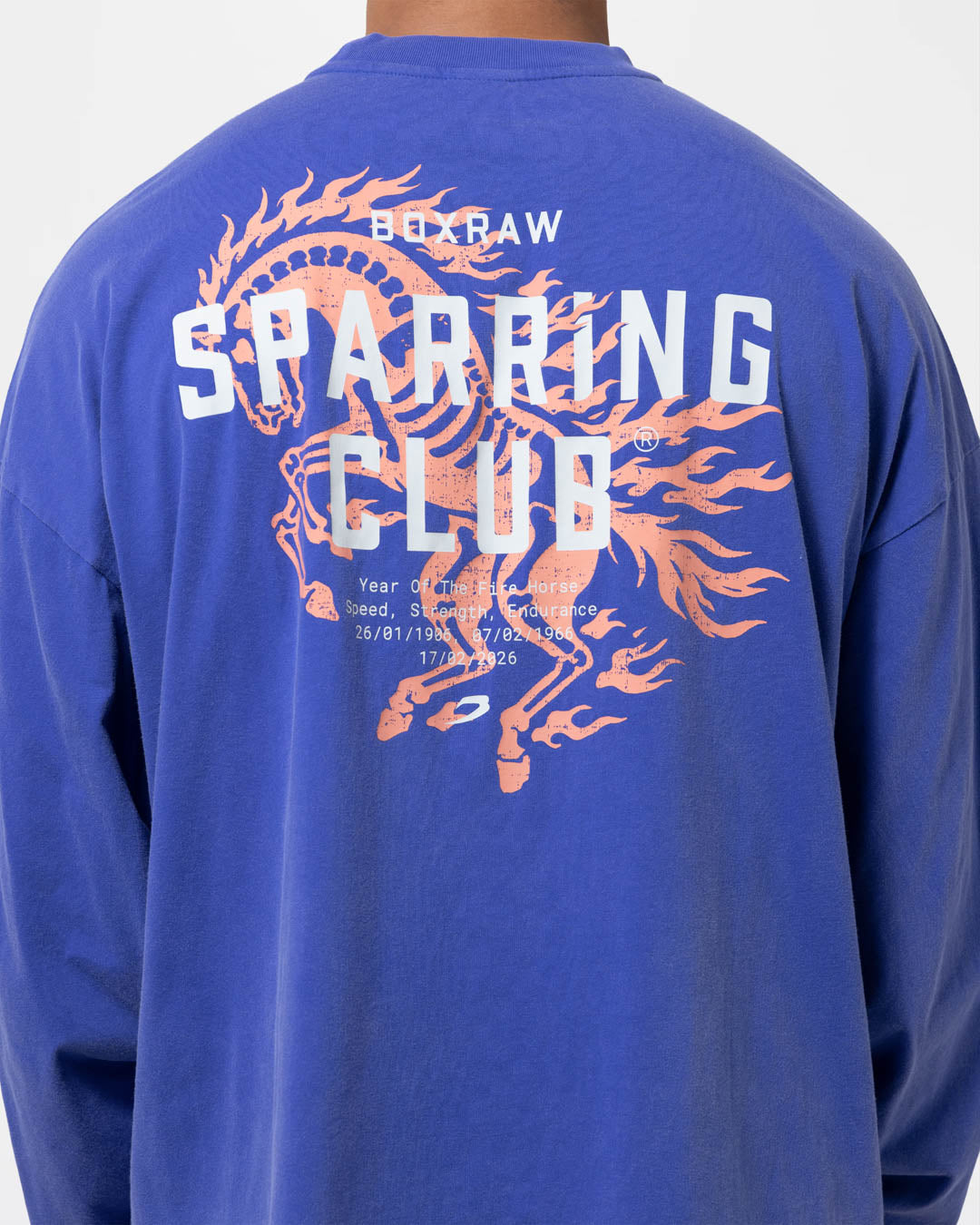 Sparring Club Fire Horse Long Sleeve T-Shirt - Washed Blue