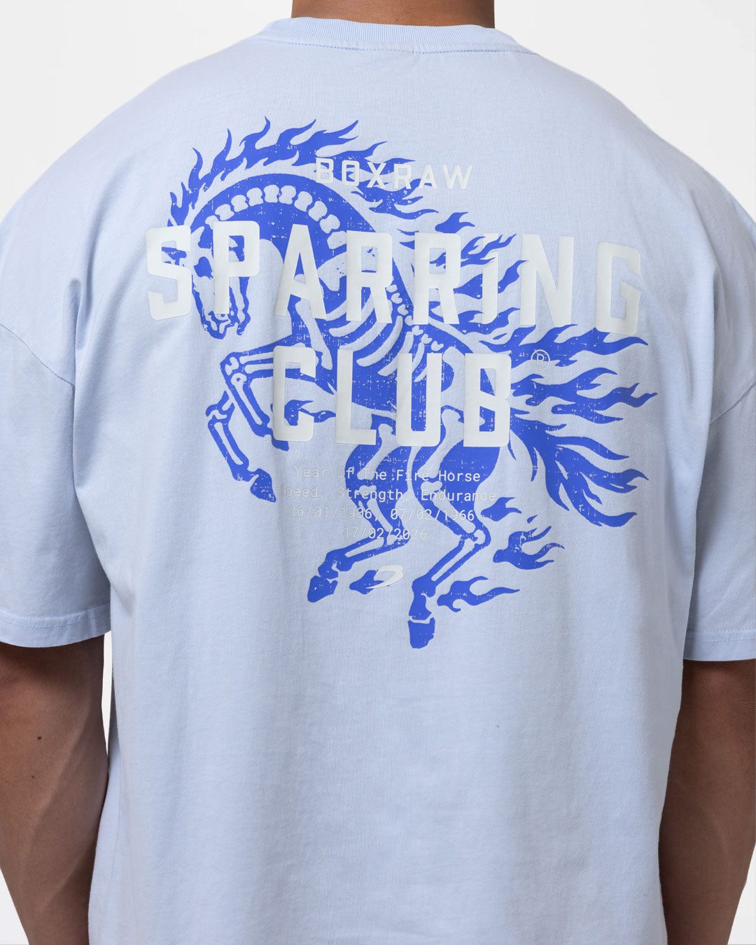 Sparring Club Fire Horse Oversized T-Shirt - Washed Baby Blue
