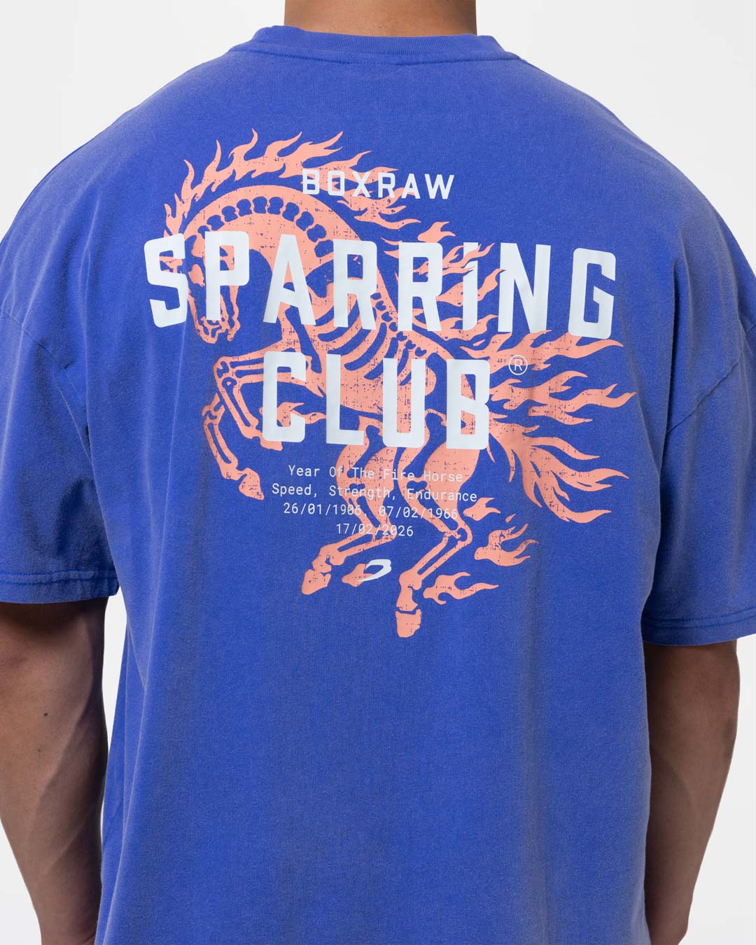 Sparring Club Fire Horse Oversized T-Shirt - Washed Blue
