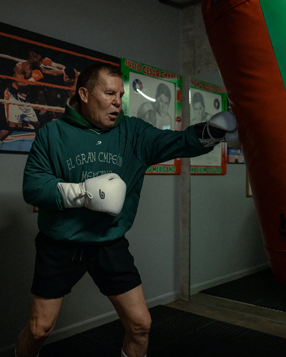 Chávez x BOXRAW Shell Sweatshirt - Green